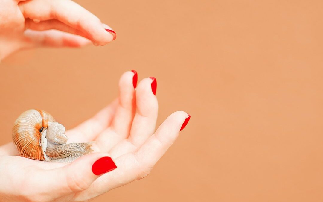 Het Geheim van Slakkenslijm